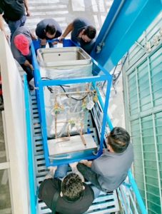 Autoclaves, Equipo de esterilización medica